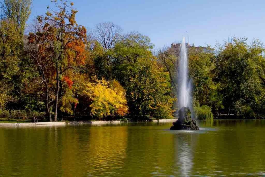 Central Park Bucharest Room photo