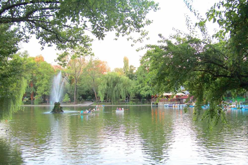 Central Park Bucharest Room photo
